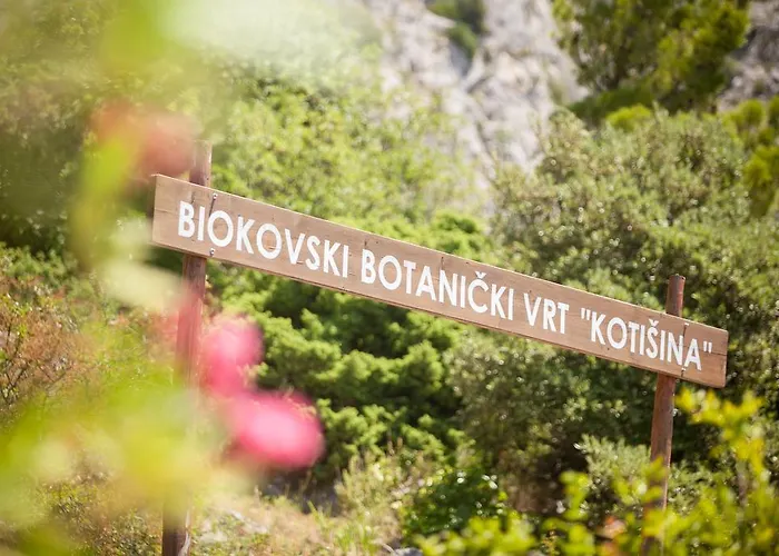 Dalmatinska Kuca